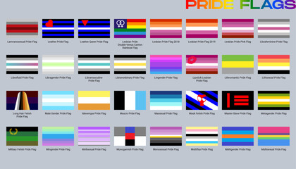 LGBT sexual identity pride flags gender collection. Flag of gay, lesbian, transgender, bisexual. Vector Illustration
