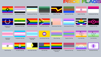 LGBT sexual identity pride flags gender collection. Flag of gay, lesbian, transgender, bisexual. Vector Illustration
