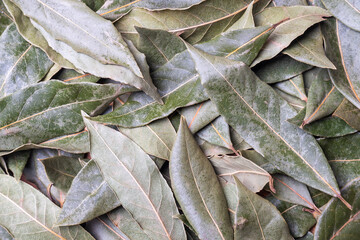 seasoning dried bay leaf for meat