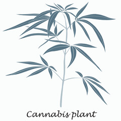Obraz premium Simplicity cannabis plant freehand drawing flat design.