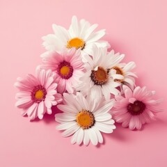 Spring daisy flowers on a pink background. Generative ai