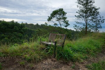 an empty chair with a view of the expanse of green trees