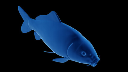 3d illustration of a common carp