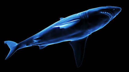 Fototapeta na wymiar 3d illustration of a great white shark