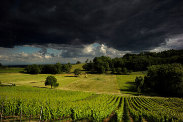 vignoble alsacien sous un ciel d'orage 