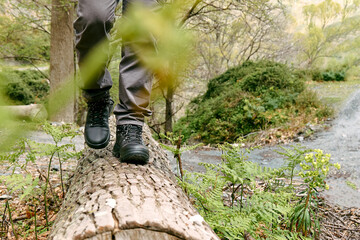 Traveler man has hiking in mountain forest. Close up of human foots in mountain shoe walking on tree log. Exercise and fitness in nature for wellness and healthy lifestyle.