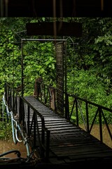 Vertical shot of an iron bridge over a muddy river surrounded by evergreen bushes in a forest