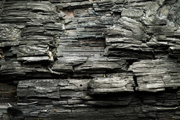 Burnt wood texture for background