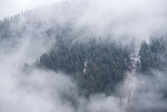 nuvole basse su un bosco di montagna, abeti e pini con nuvole sopra in un villaggio nelle Dolomiti
