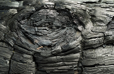 Burnt wood texture for background