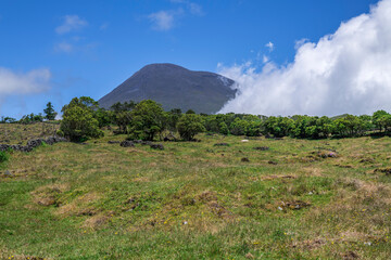 The volcano Pico / Pico volcano on Pico island, highest mountain in Portugal, Azores. - 594030167