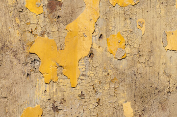 Yellow wood background / Background from a wooden plank with weathered yellow paint. - 594031556