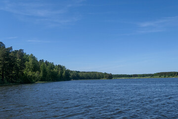 lake in the forest