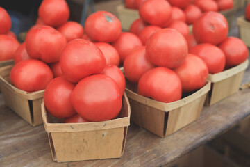 Tomatoe is the edible berry of the plant Solanum lycopersicum basket of tomatoes winter park...