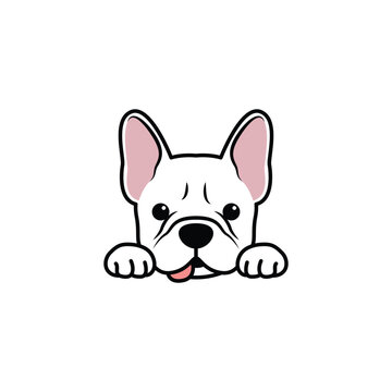 Funny white french bulldog cartoon isolated on a white background, vector illustration