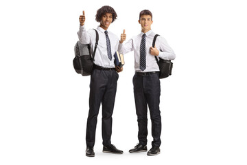 Caucasian male student and an african american student gesturing thumbs up