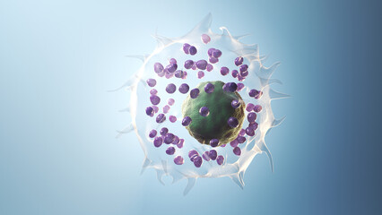 3d illustration of a mast cell - 594034580
