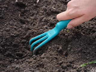 A woman preparing soil using a handled claw cultivator