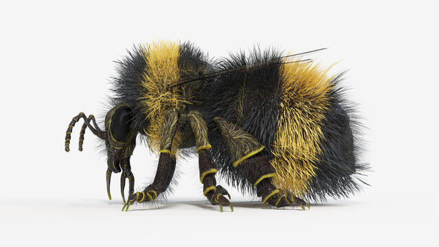 3d illustration of a bumblebee