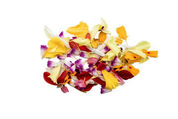 yellow flowers and red fresh flowers isolated on transparent background, romantic spring, summer or wedding design element