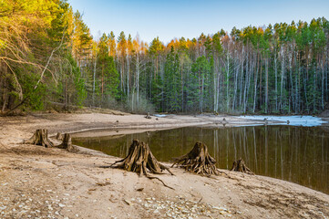 Panoramic spring landscape of a lake with a forest, stumps on the shore, Russia, Ural
