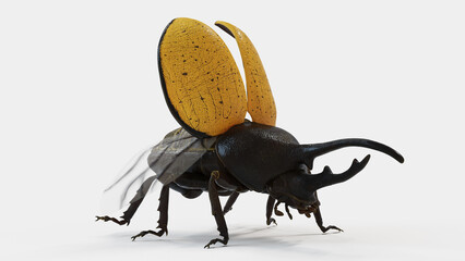 3d illustration of a hercules beetle