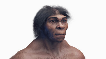 3d illustration of a male homo erectus
