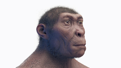 3d illustration of a male homo habilis
