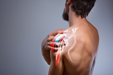 Shoulder muscle and nerve pain, man holding painful zone injured point, human body anatomy - obrazy, fototapety, plakaty