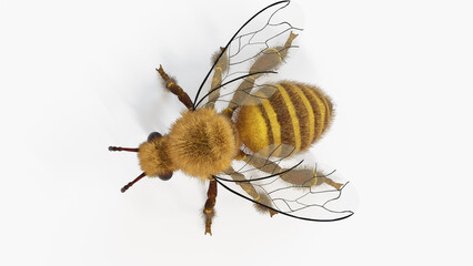 3d illustration of a honey bee