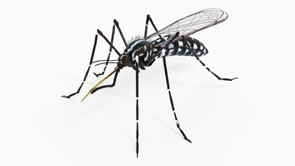 3d illustration of a mosquito