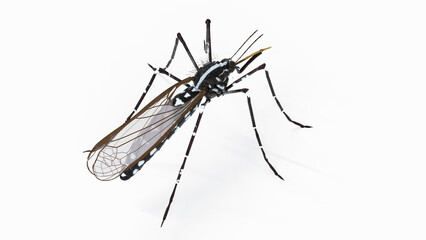 3d illustration of a mosquito