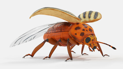3d illustration of a potato beetle