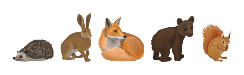 Forest Animal and Habitant with Hedgehog, Rabbit, Fox, Bear Cub and Squirrel Vector Set