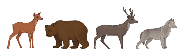 Obraz na płótnie Canvas Forest Animal and Habitant with Deer, Bear and Wolf Vector Set