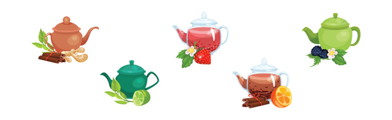Glass Teapot with Herbal and Berry Tea Brewing Vector Set