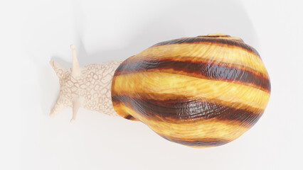 3d illustration of a snail