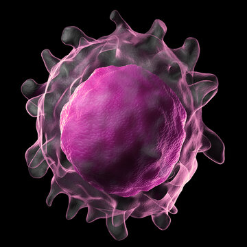 3d illustration of a B-cell