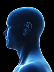 3d illustration of a male head