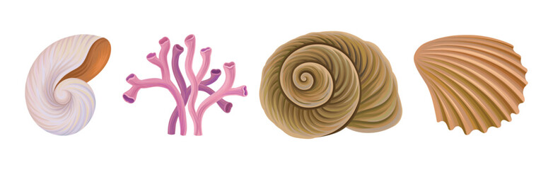 Sea Shell and Coral as Aquatic Object Vector Set