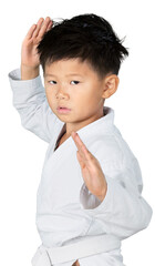 Portrait of a Young Asian Martial Artist