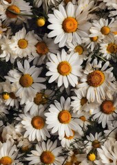 Obraz premium Flower Design 