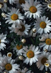 Fototapeta premium Flower Design 