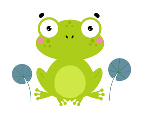 Happy Green Frog with Protruding Eyes Sitting Vector Illustration