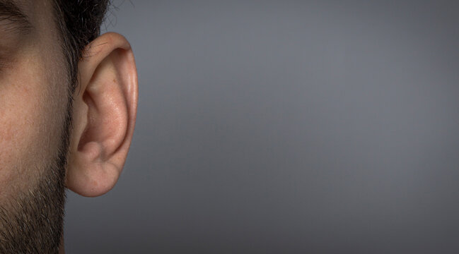 ear close-up 