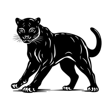 Panther Logo Monochrome Design Style
