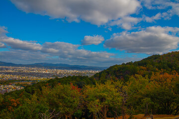 Fototapeta na wymiar Kyoto View on the Iwatayama Monkey Park in Bright Autumn Day