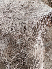 la textura gris del tronco de la palmera