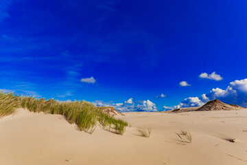 Fototapeta na wymiar dunes in poland at the baltic sea