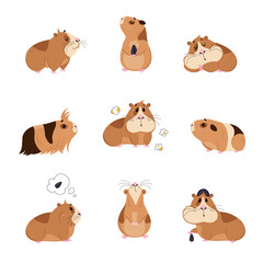 Cute guinea pig in everyday activities set. Funny brown pet rodent eating and sleeping cartoon vector illustration